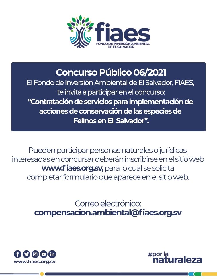 Odoo - Prueba 3 a tres columnas