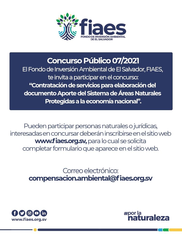 Odoo - Prueba 3 a tres columnas