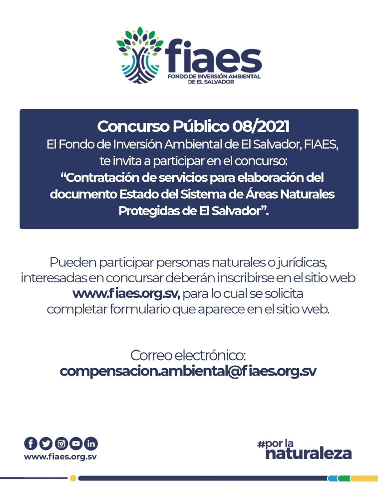 Odoo - Prueba 3 a tres columnas