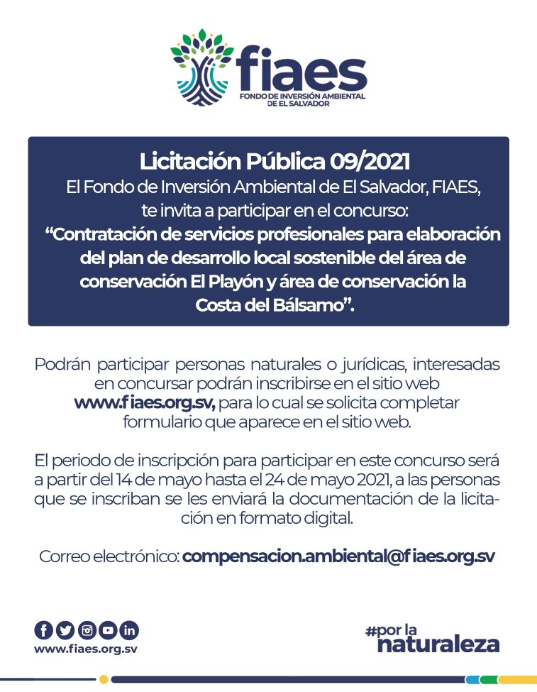 Odoo - Prueba 3 a tres columnas