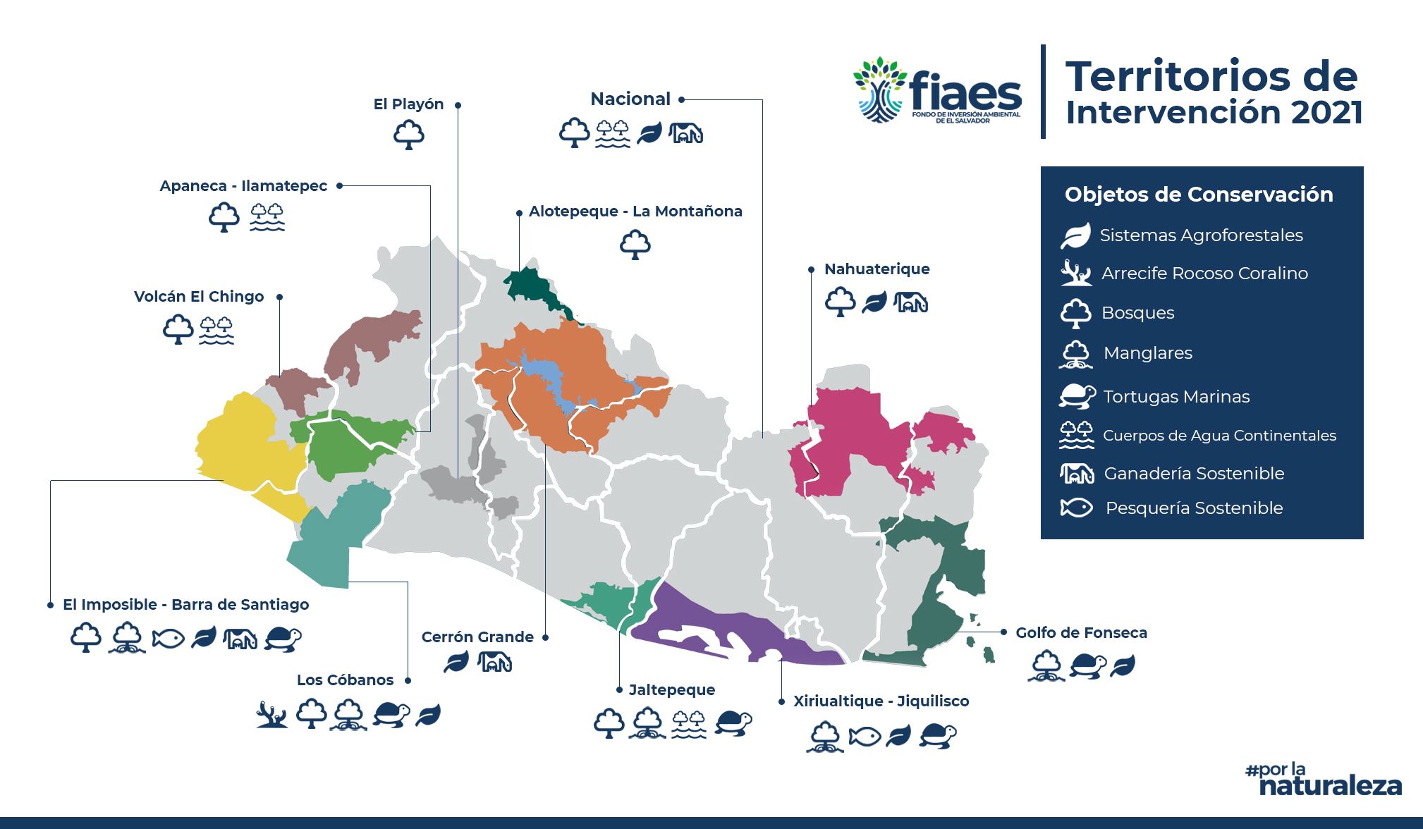 Proyectos FIAES